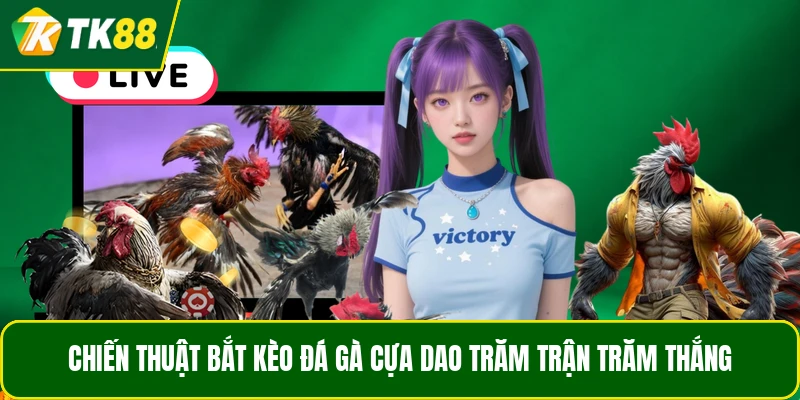 Chiến thuật bắt kèo đá gà cựa dao trăm trận trăm thắng